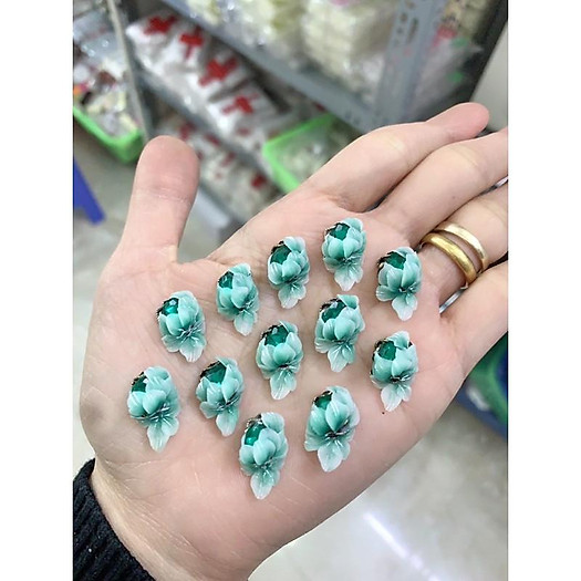 hoa cúc ôm đá đẹp