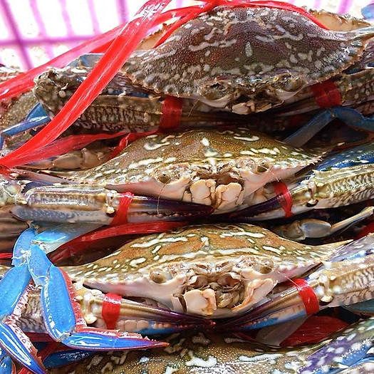 Ghẹ xanh size 3-5 con  - 1kg