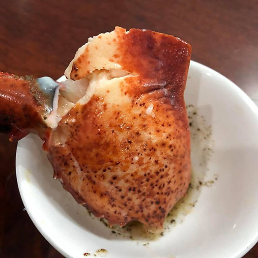 Combo 3 con tôm hùm Alaska Sống Size 500g