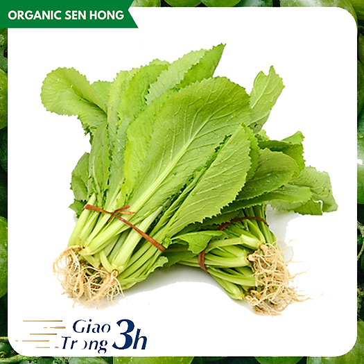 Cải Bẹ Xanh 1kg Giao Nhanh 3h Rau Củ Quả Xanh Coopmart