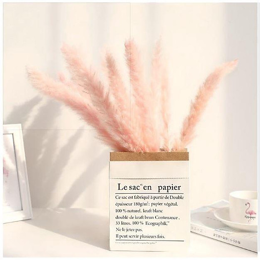 Combo 5 bông hoa lau khô decor, cỏ lau trang trí để bàn, phụ kiện chụp ảnh đẹp