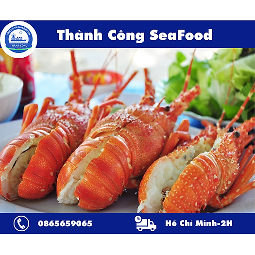 Tôm hùm xanh Cam Ranh hàng loại một sống khỏe