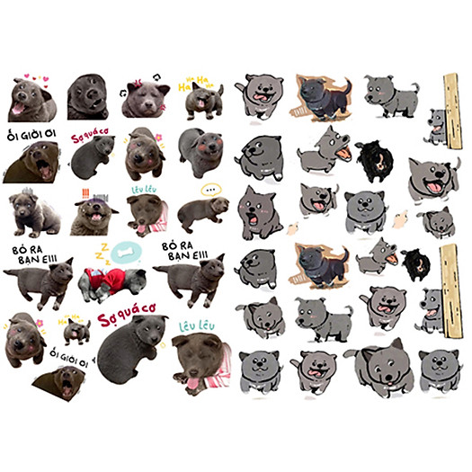 Sticker  Bé Dúi Set 30 ảnh Nguyễn Văn Dúi