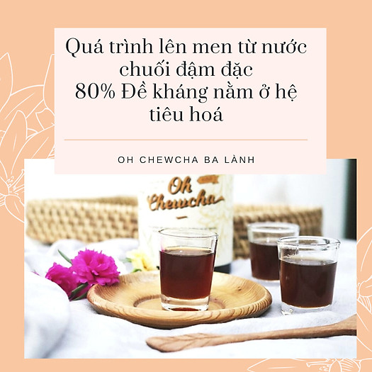 NƯỚC CHUỐI LÊN MEN OH CHEWCHA BA LÀNH 500ML- lợi khuẩn, tiêu hoá tốt,giúp giảm ợ hơi, ợ nóng, khó tiêu