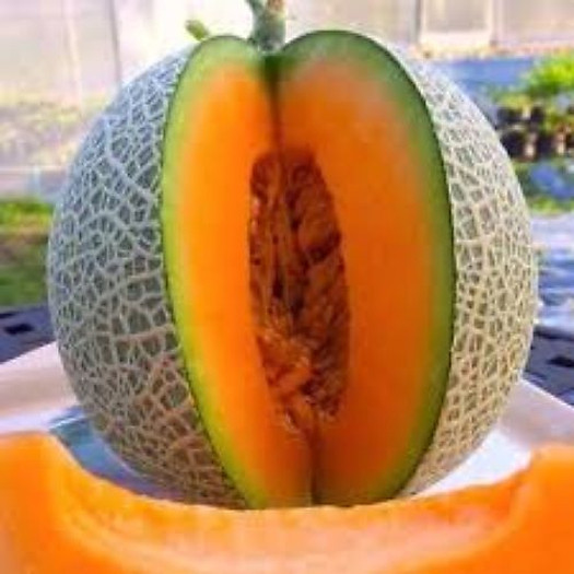 Dưa lưới ruột vàng cam (1,2kg - 1,5kg)/ trái