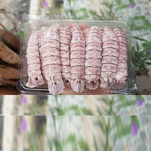 Bề bề khơi bóc nõn To 500g