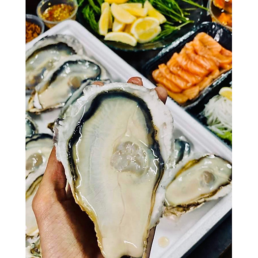 Hàu Nhật Hyogo 9-11 con/kg