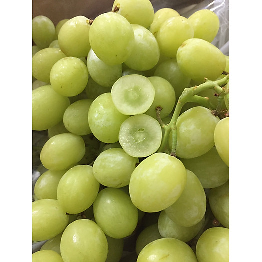 Nho Xanh Sugar Hydix Nam Phi