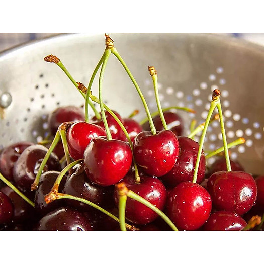 Cherry Mỹ size 9.5