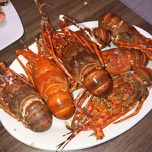 Tôm Hùm Baby Sống (1 Con 350g)