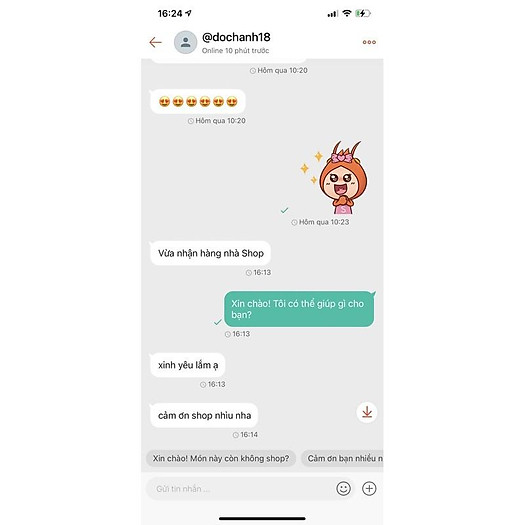 hoa cúc ôm đá đẹp