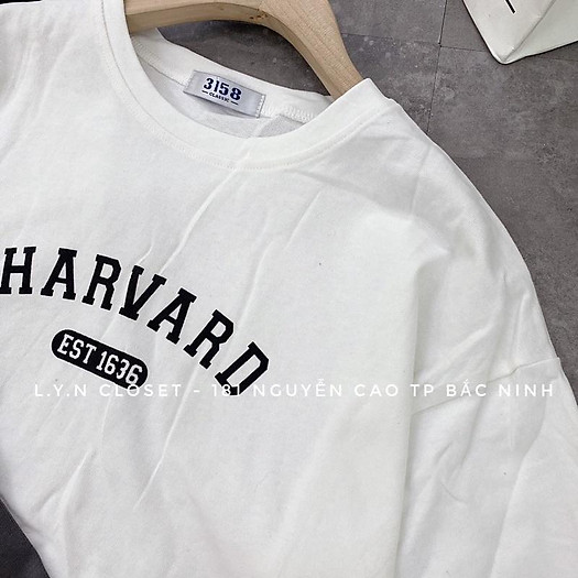 Áo thun 3158 chữ Harvard chất dày hàng Quảng Châu