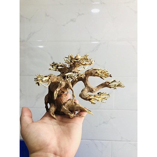 BONSAI LŨA GỖ MINI DÙNG CHO HỒ 20CM-40CM | THIẾT KẾ CỔ THỤ CHO HỒ THUỶ SINH