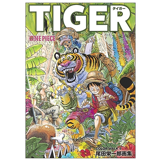 One Piece イラスト集 Colorwalk 9 Tiger 愛蔵版コミックス Comics Graphic Novels Sachviệt Vn