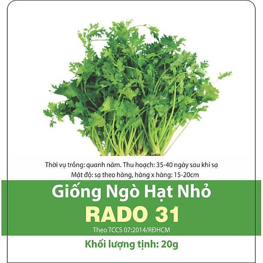 Hạt giống rau ngò hạt nhỏ Rado 31