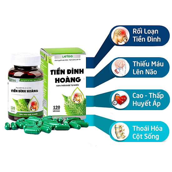 Tiền đình hoàng - hỗ trợ điều trị hiệu quả rối loạn tiền đình - ảnh sản phẩm 2