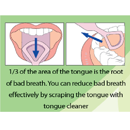 Dụng cụ vệ sinh lưỡi bằng nhựa pp an toàn sgs nhập khẩu từ hàn quốc - ảnh sản phẩm 3