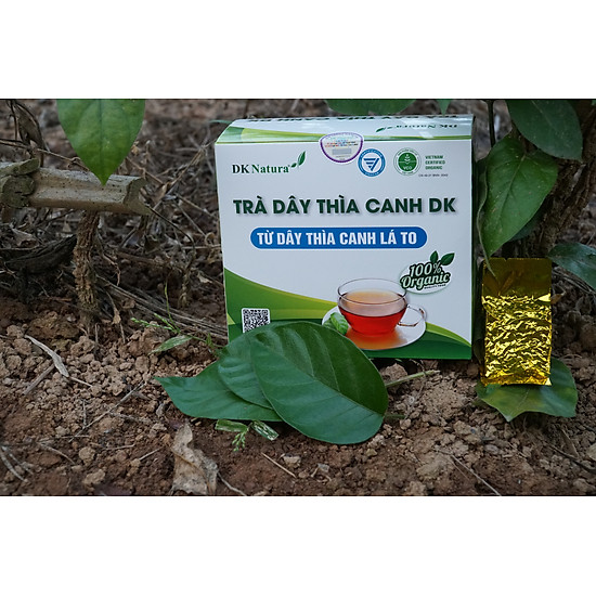 Dây thìa canh dk 300gram - từ dây thìa canh lá to - ảnh sản phẩm 2