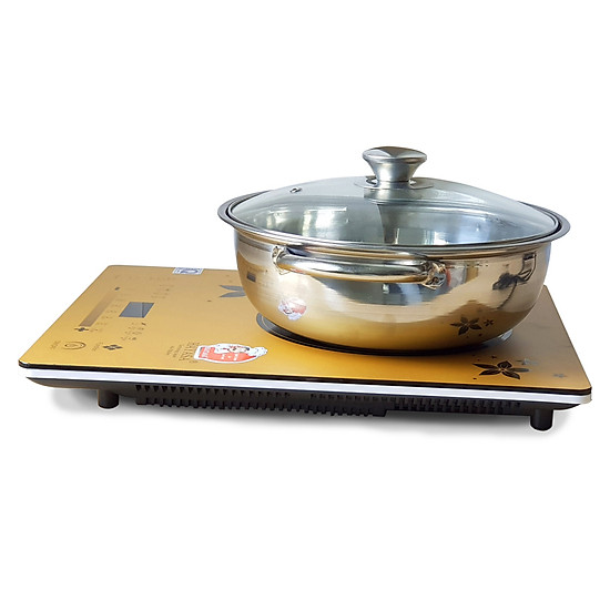 Bếp điện từ siêu mỏng tiết kiệm điện Hayasa Ha-790 Slim (Cam) tặng kèm...