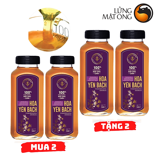 Combo 2 chai mật ong nguyên chất hoa yên bạch honimore 500g chai tặng 2 - ảnh sản phẩm 1