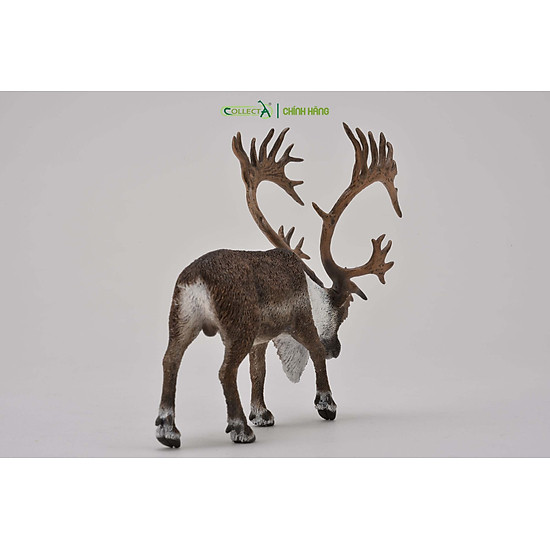 Mô hình thu nhỏ tuần lộc - woodland caribou , hiệu collecta, mã hs 9651430 - ảnh sản phẩm 3