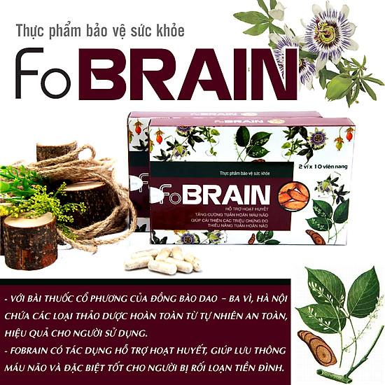 Giảm nhanh rối loạn tiền dình, tăng cường tuần hoàn máu não fobrain - ảnh sản phẩm 2