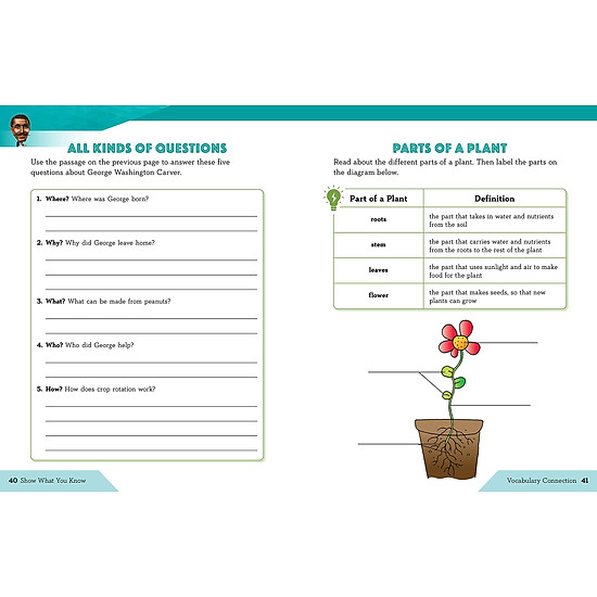 Who was workbook grade 3 science social studies - ảnh sản phẩm 6