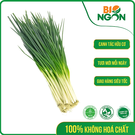 Chỉ giao hcm - hành lá baby hữu cơ gói 50g - ảnh sản phẩm 1