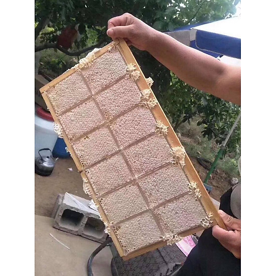 Mật ong bánh tổ thảo mộc hộp 600gr loại hoa rừng honeycomb - ảnh sản phẩm 5