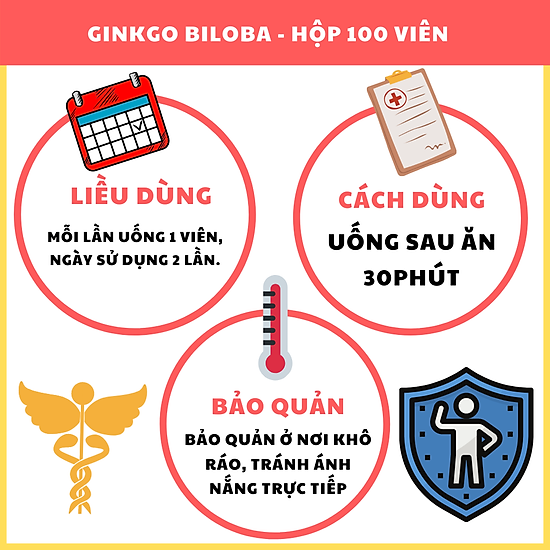 Ginkgo biloba - viên uống hỗ trợ chức năng não bộ - ảnh sản phẩm 6