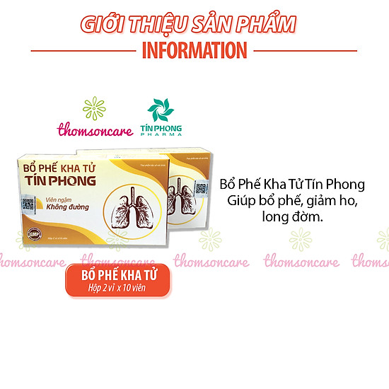 Viên ngậm bổ phế kha tử tín phong - không đường, hỗ trợ giảm ho, long đờm - ảnh sản phẩm 2