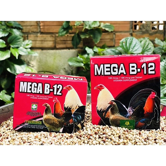 Mega b12 thuốc nuôi cho gà đá, thuốc tăng thể lực cho gà 1 hộp 10 vỉ 100 - ảnh sản phẩm 6