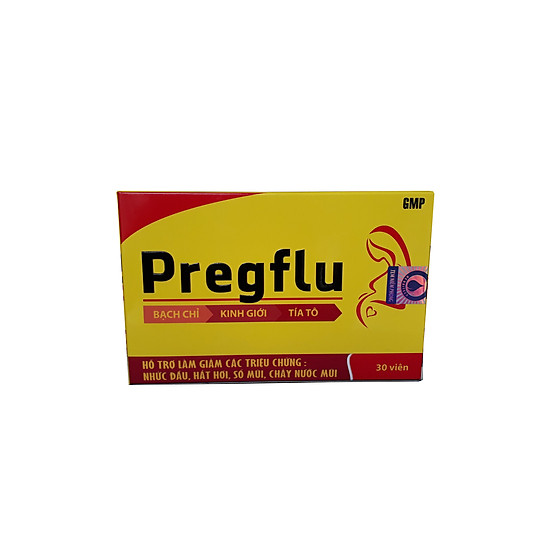 Thực phẩm bảo vệ sức khỏe pregflu - ảnh sản phẩm 1