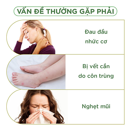 Chai 8ml dầu lăn sâm thảo dược green herb oil - ảnh sản phẩm 5