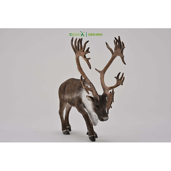 Mô hình thu nhỏ tuần lộc - woodland caribou , hiệu collecta, mã hs 9651430 - ảnh sản phẩm 4