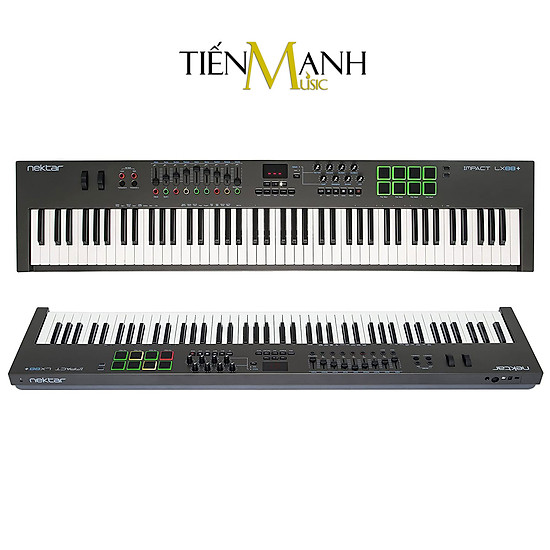 Nektar lx88+ midi keyboard controller 88 phím cảm ứng lực bàn phím sáng - ảnh sản phẩm 2