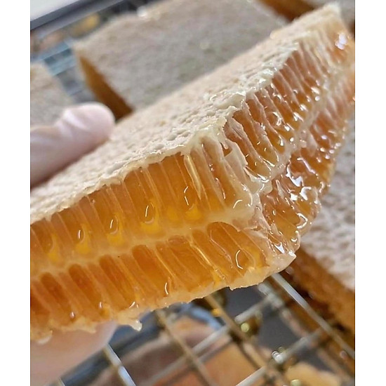 Mật ong bánh tổ thảo mộc hộp 600gr loại hoa rừng honeycomb - ảnh sản phẩm 3