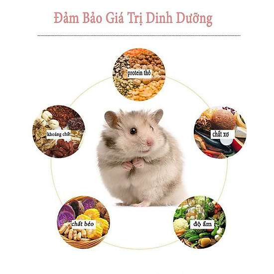 Thức ăn ngũ cốc hỗn hợp cho hamster 150gr rau củ quả tăng cường dinh dưỡng - ảnh sản phẩm 4