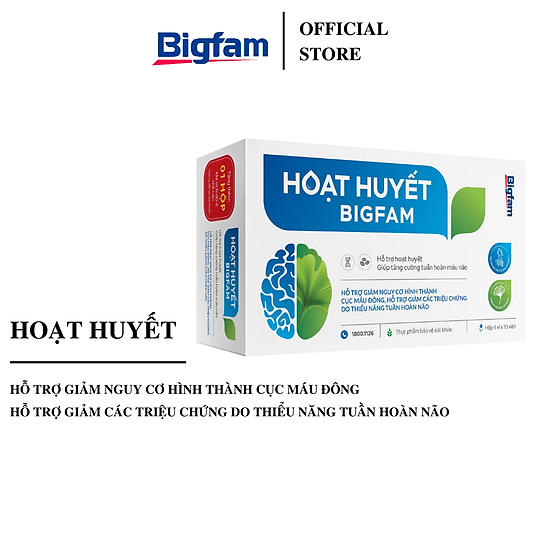 Hoạt huyết bigfam giúp tăng tuần hoàn máu não  hộp 6 vỉ x 10 viên - ảnh sản phẩm 1