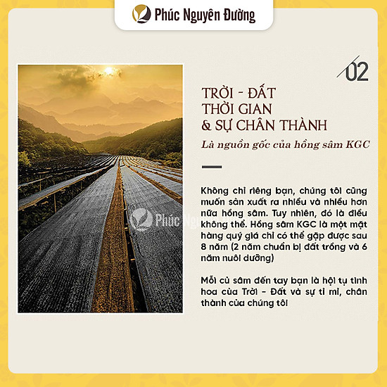 Thực phẩm chức năng lương sâm good 20 300g 14 củ - ảnh sản phẩm 4