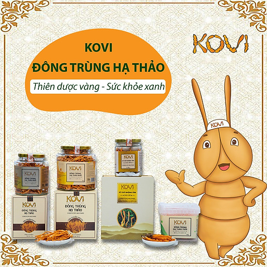 Loại cao cấp đông trùng hạ thảo khô hộp 50 con sấy thăng hoa,nấm đông - ảnh sản phẩm 1
