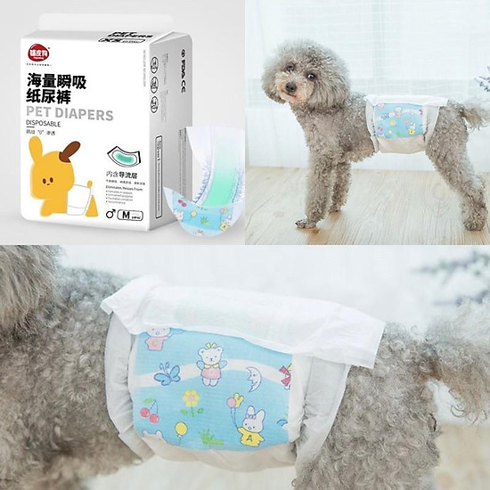 Bỉm chó, mèo đực hipi dog - ảnh sản phẩm 1