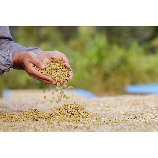 Azzan blend arabica & robusta 250g- cà phê đặc sản - ảnh sản phẩm 5