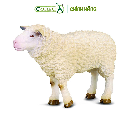 Mô hình thu nhỏ cừu mẹ - sheep, hiệu collecta, mã hs 9650170 - ảnh sản phẩm 1