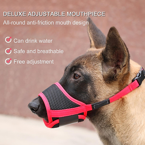dog mouthpiece