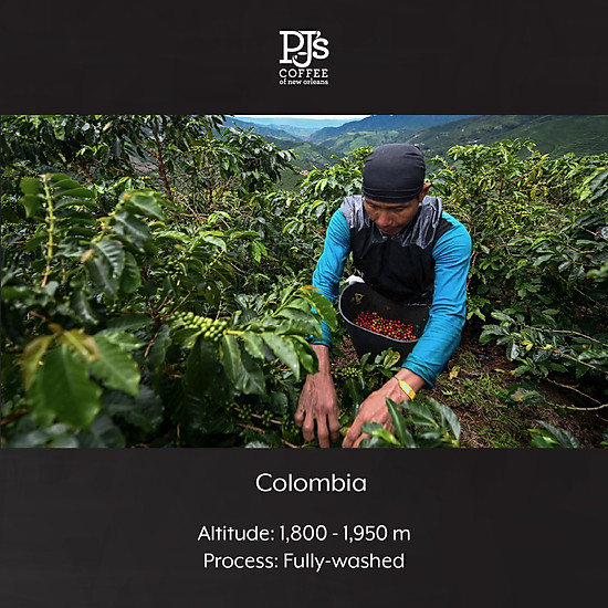 Cà phê hạt pj s coffee decaf colombia supremo không có caffeine - ảnh sản phẩm 4