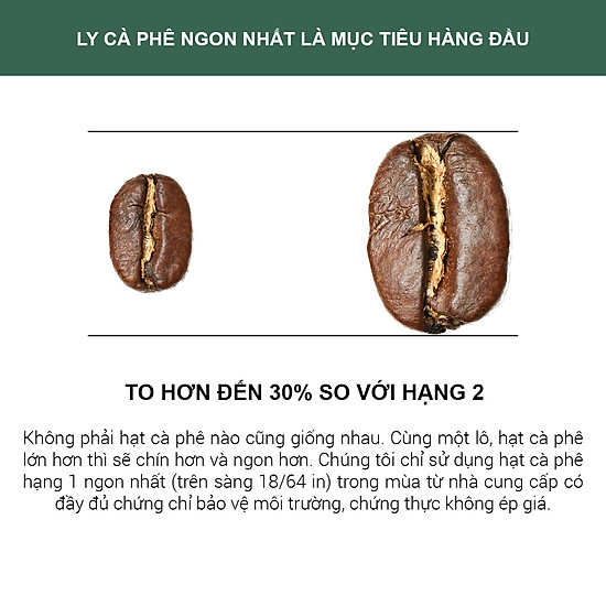 1,1 kg cà phê culi robusta rang xay tinh khiết 100% 1864 café - ảnh sản phẩm 4