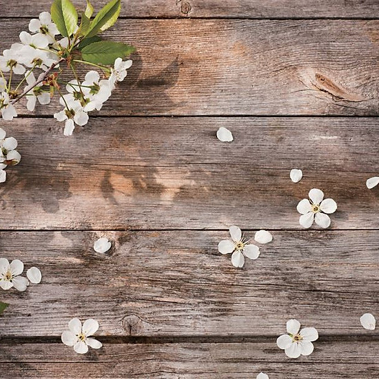 Nơi bán Phông nền chụp ảnh 3D size lớn 100cm x 150cm giá