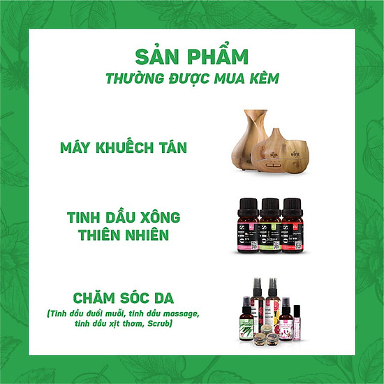 Máy xông tinh dầu cao cấp bình gỗ haeva dung tích 300ml - ảnh sản phẩm 6