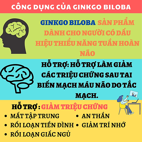 Ginkgo biloba - viên uống hỗ trợ chức năng não bộ - ảnh sản phẩm 5